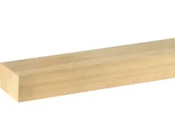 Flachleiste Lärche roh 28x49,7x2000mm