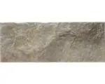 Hornbach Feinsteinzeug Verblendstein Klimex UltraStrong Campana 16,0x42,0 cm Grau;braun