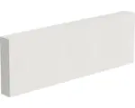 Hornbach Porenbeton Planstein Termalica 599x249x50 mm