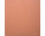 Hornbach Ton Bodenfliese Cotto di Volterra 30,0x30,0 cm braun matt