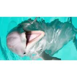 Outdoorteppich 90/160 cm