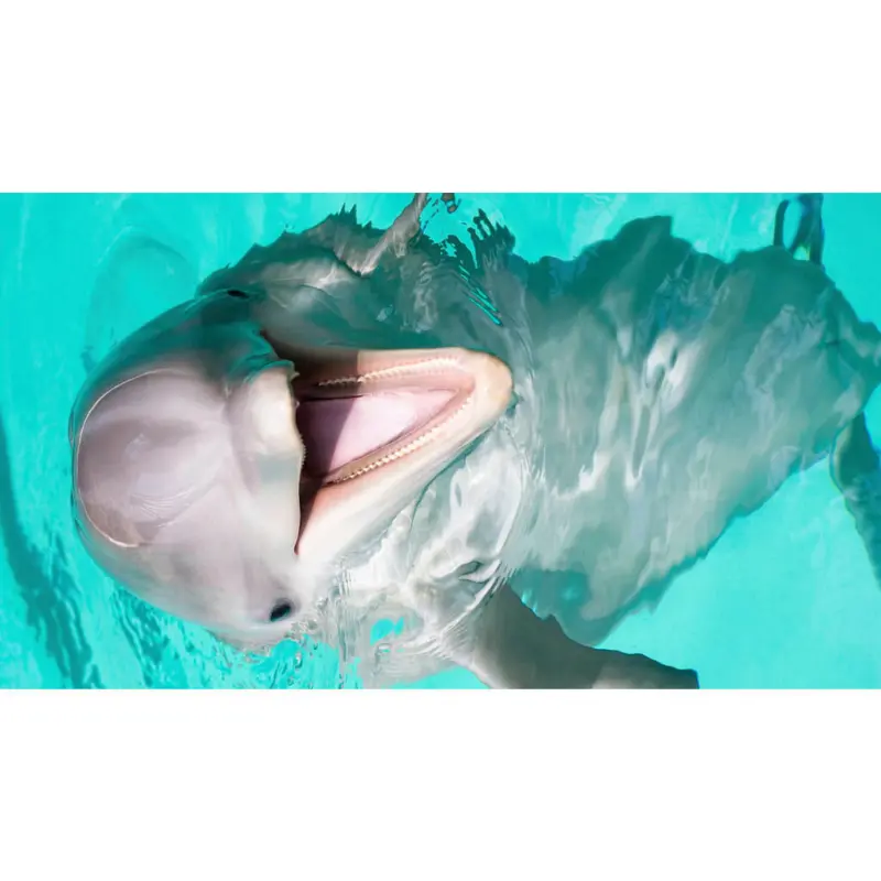 Outdoorteppich 90/160 cm