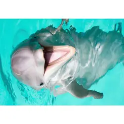 Outdoorteppich 140/200 cm