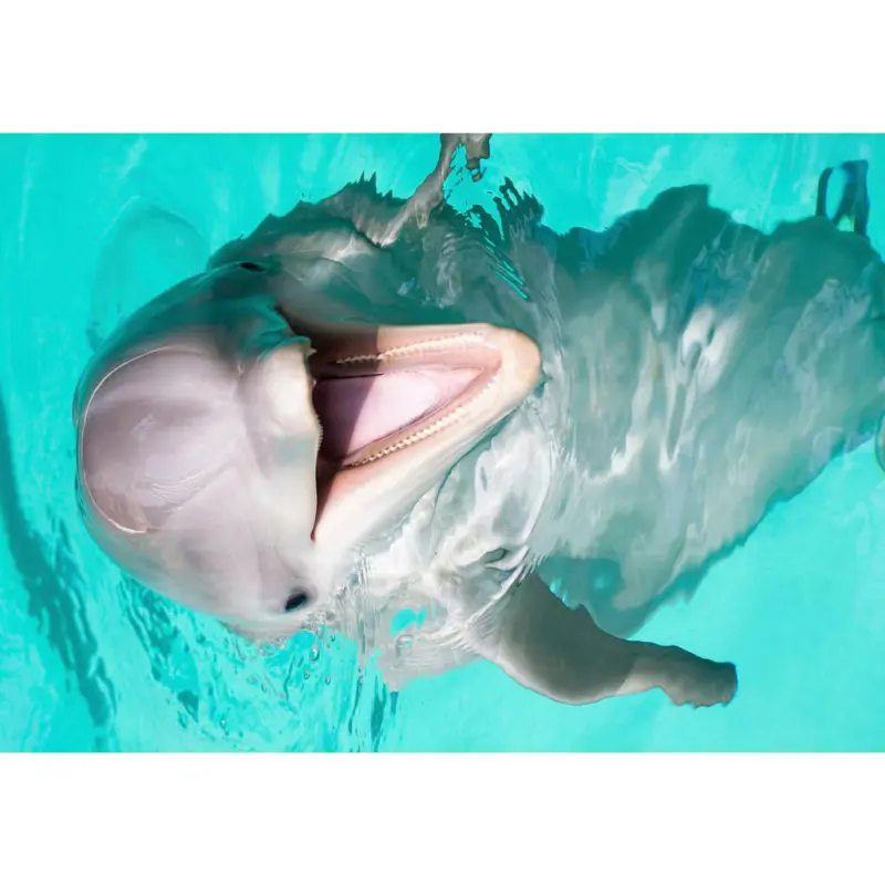 Outdoorteppich 140/200 cm