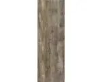 Hornbach Steinzeug Wandfliese Amazon 25,0x75,0 cm grau braun glänzend