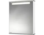 Hornbach LED-Spiegelschrank Jokey Cento 1-türig 50x65x16 cm weiß