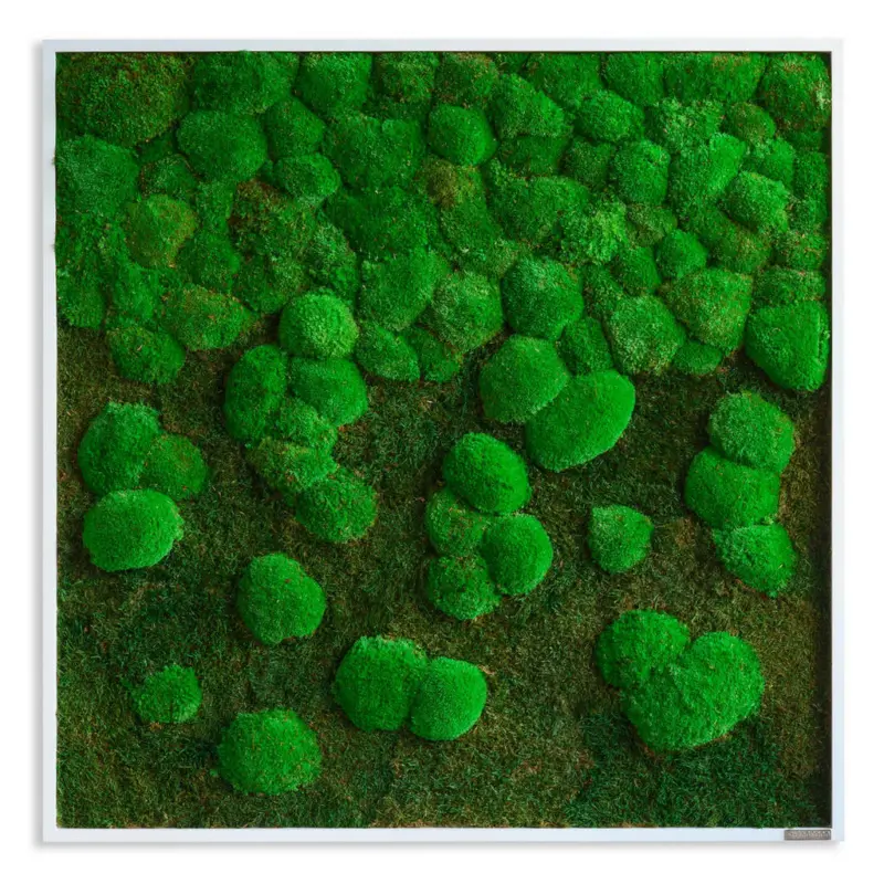 Moosbild Stylegreen