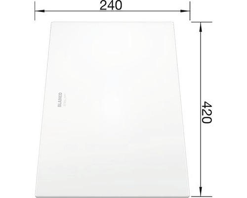 Glasschneidbrett Blanco 225333 42x24 cm