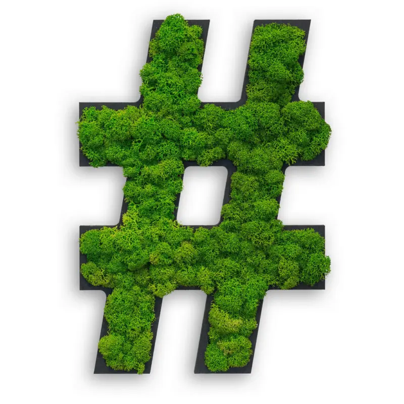 Moosbild Stylegreen