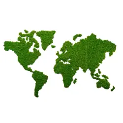 Moosbild Stylegreen