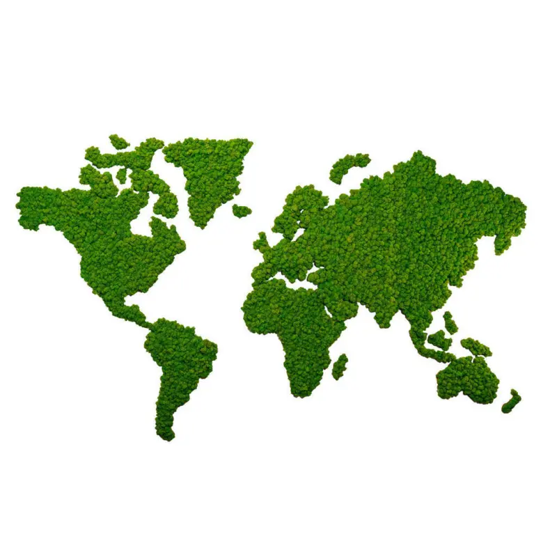 Moosbild Stylegreen