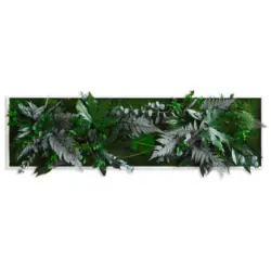 Moosbild Stylegreen