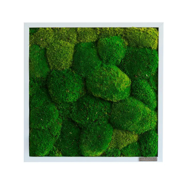Moosbild Stylegreen