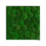 XXXLutz Lauterach - Ihr Möbelhaus bei Bregenz Moosbild Stylegreen