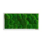 XXXLutz Lauterach - Ihr Möbelhaus bei Bregenz Moosbild Stylegreen