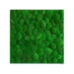 XXXLutz Lauterach - Ihr Möbelhaus bei Bregenz Moosbild Stylegreen