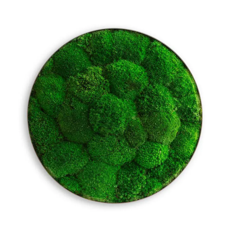 Moosbild Stylegreen