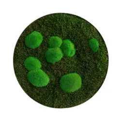 Moosbild Stylegreen