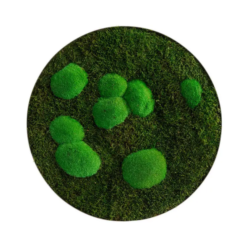 Moosbild Stylegreen