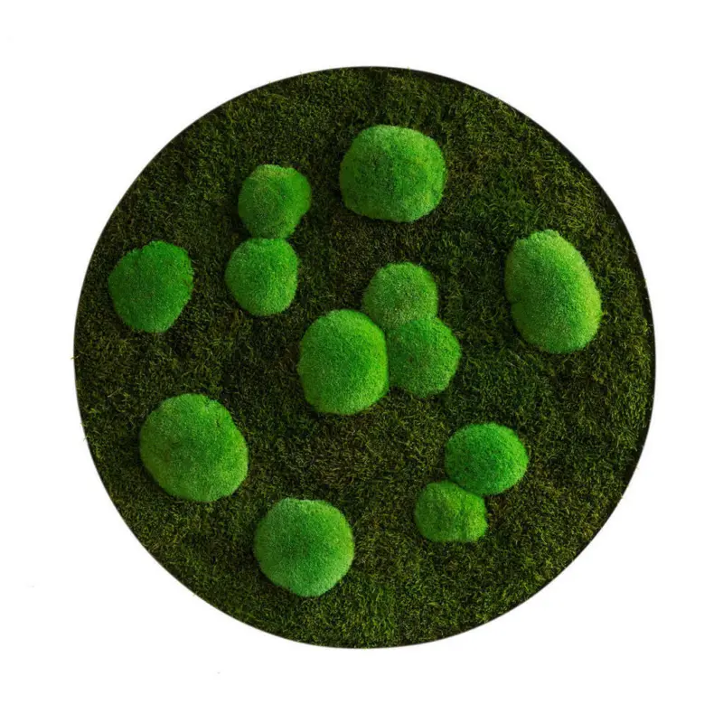 Moosbild Stylegreen
