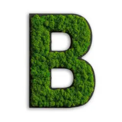 Moosbild Stylegreen