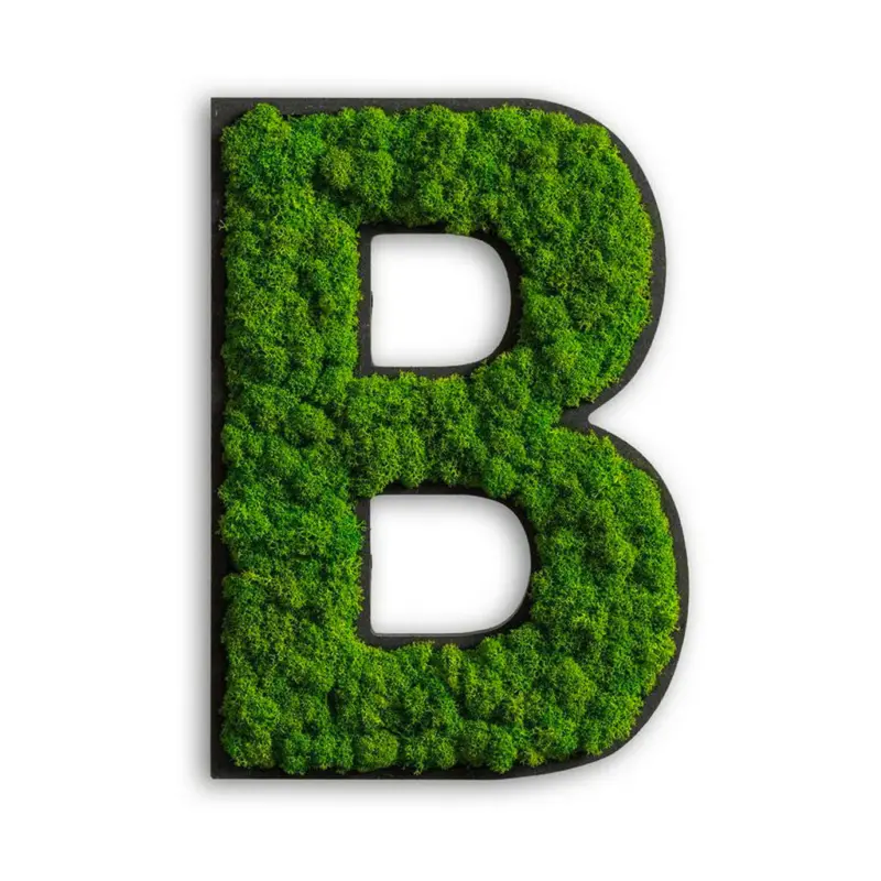 Moosbild Stylegreen