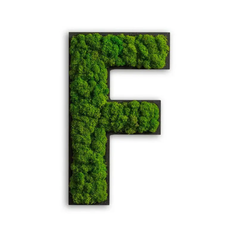 Moosbild Stylegreen
