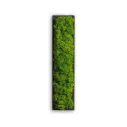 Moosbild Stylegreen