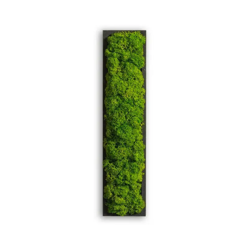 Moosbild Stylegreen