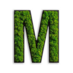 Moosbild Stylegreen