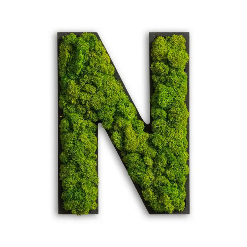 Moosbild Stylegreen