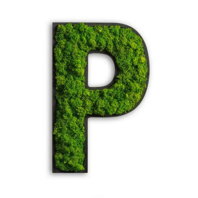 Moosbild Stylegreen