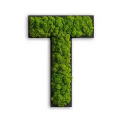 Moosbild Stylegreen