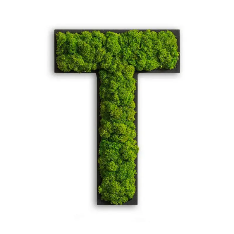 Moosbild Stylegreen
