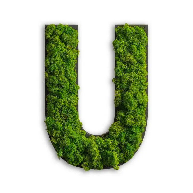 Moosbild Stylegreen