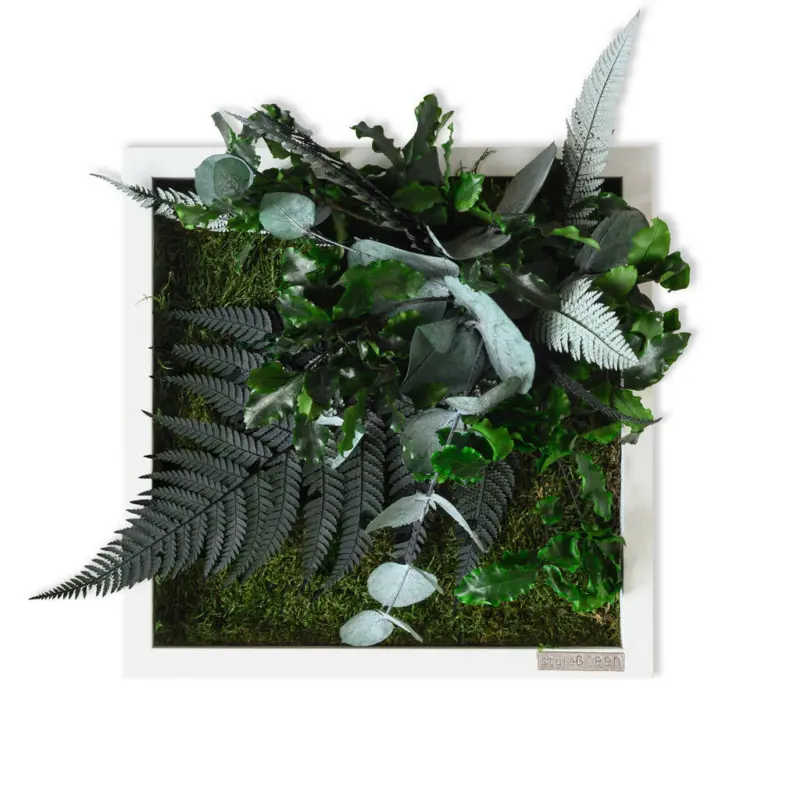 Moosbild Stylegreen