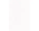 Hornbach Vliestapete 9792 Patent Vlies uni - Die Patenten Vier