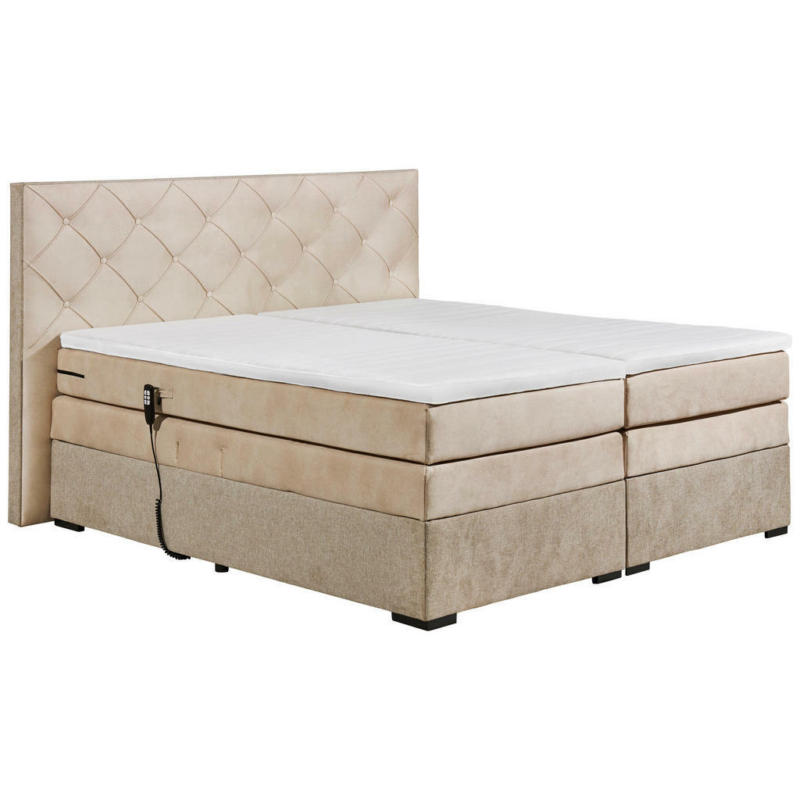 Boxspringbett 180/200 cm in Creme