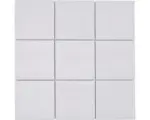 Hornbach Keramikmosaik RAT 200 30,0x30,0 cm weiß