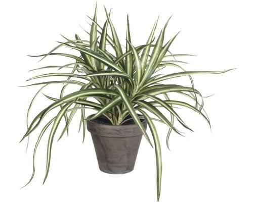 Kunstpflanze Dracena, grün