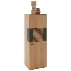 Highboard 46,9/138,3/37,1 cm