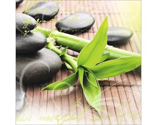 Glasbild Wellness I 20x20 cm GLA440