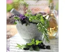 Glasbild Herbage pestle I 50x50 cm