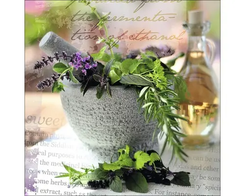 Glasbild Herbage pestle I 50x50 cm