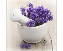 Glasbild Lovely Lavender III, 20x20 cm