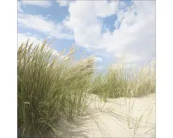 Glasbild Sommertag I 30x30 cm