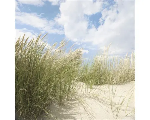 Glasbild Sommertag I 30x30 cm