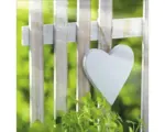 Hornbach Glasbild Lovely Garden I 50x50 cm GLA768