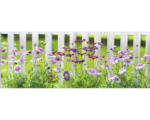 Hornbach Glasbild Lovely Garden III 50x125 cm GLA770