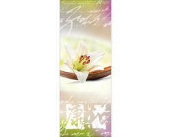 Glasbild Young living II 30x80 cm